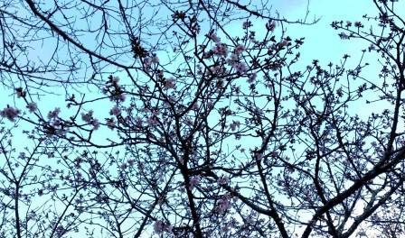 20160107_154430.jpg