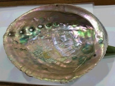 20160130_102949.jpg