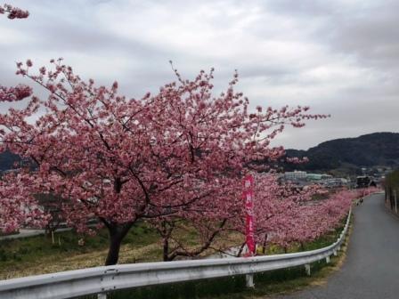 20160224-1.jpg