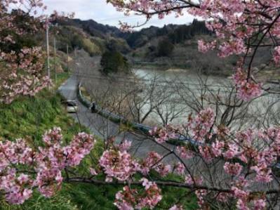 20160227-2sakumadam.jpg