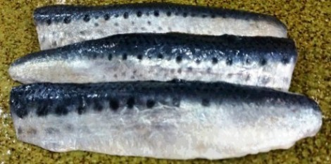 20160423_091945.jpg