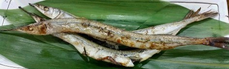 20160629_470.jpg