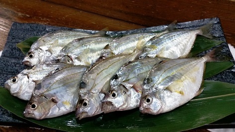 20161008_111120_470.jpg
