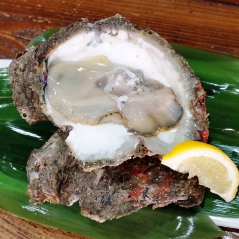 20170519_151925.jpg