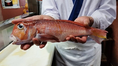 あまだい470a.jpg