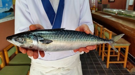 さば_470.jpg