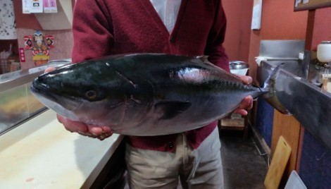 まぐろ470.jpg