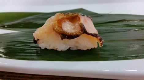 サザエnama470.jpg