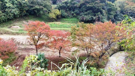 スマホ 268_470.jpg