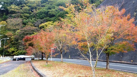 スマホ 271_470.jpg