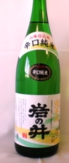 岩の井.jpg