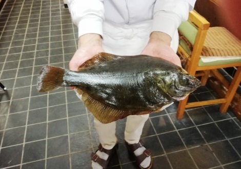IMG_20190406_105924_470.jpg