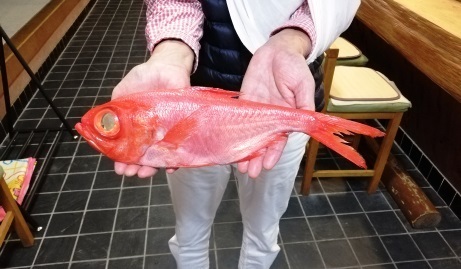 IMG_20191107_163208_470.jpg