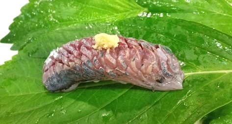 aji01.jpg