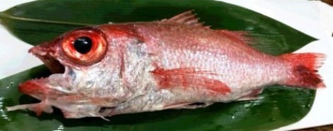 akamutu7.jpg