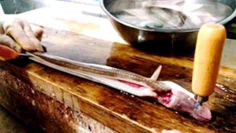 anago1.jpg