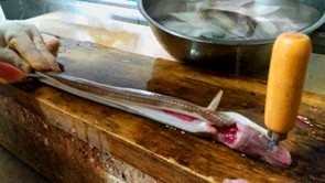 anago1.jpg