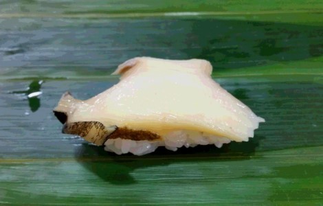 awabi.jpg