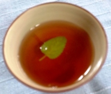 biwa2.jpg
