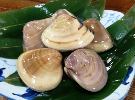 hamaguri2.jpg