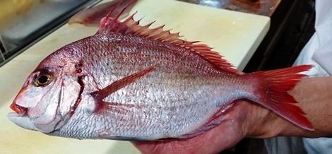 hanadai3.jpg