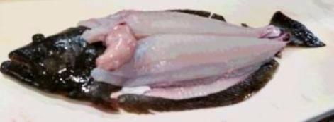 hirame3.jpg