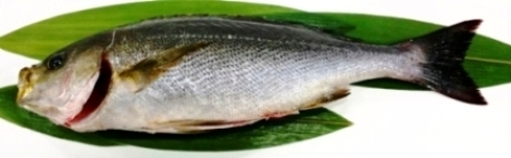 isaki522.jpg