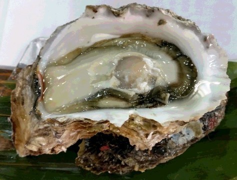 iwagaki011.jpg