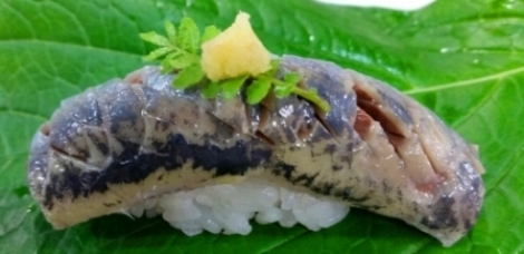 iwasisusi01.jpg