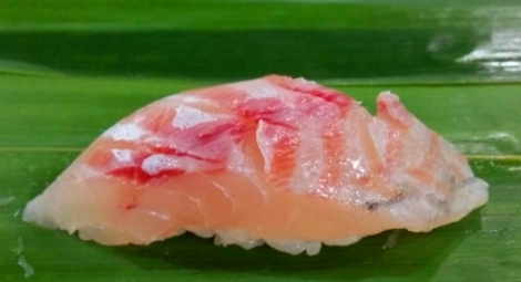 kamasu10.jpg