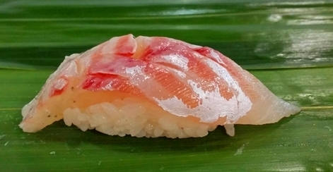 kamasu11.jpg