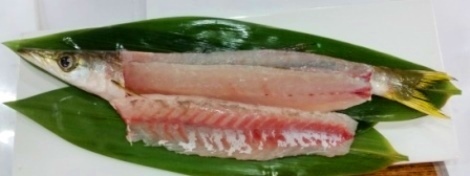kamasu4.jpg
