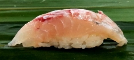 kamasususi00.jpg
