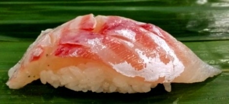 kamasususi02.jpg