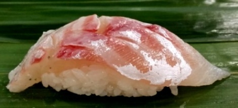 kamasususi02.jpg