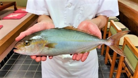 kanpati000.jpg