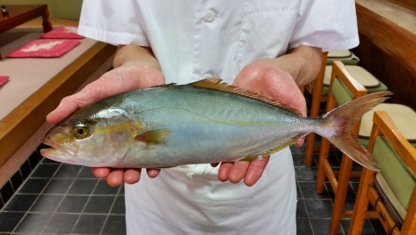 kanpati000.jpg