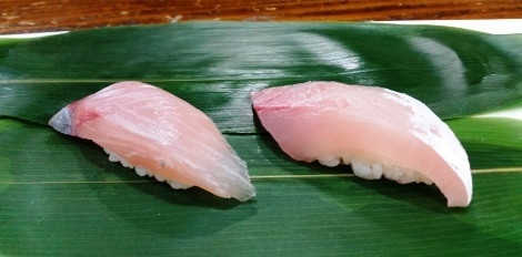 kanpati1.jpg