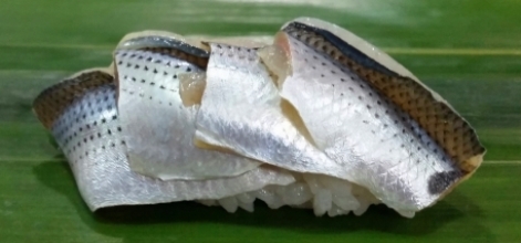 kohada0.jpg