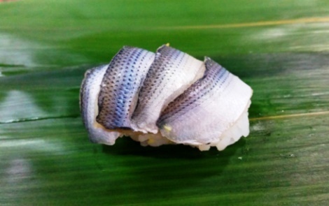 kohada_470.jpg