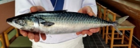 saba0903.jpg