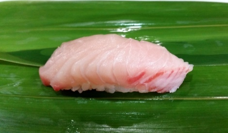 sawara000.jpg