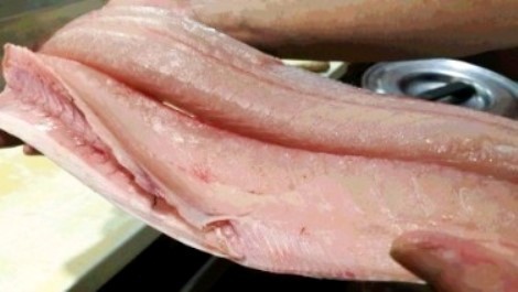 sawarami0.jpg
