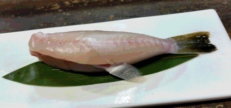 sunafugu3.jpg