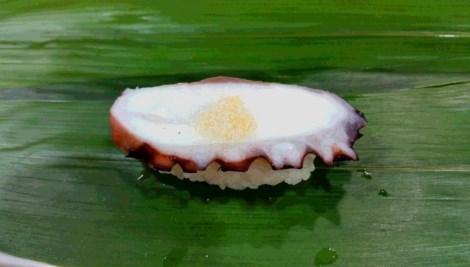 tako_470.jpg